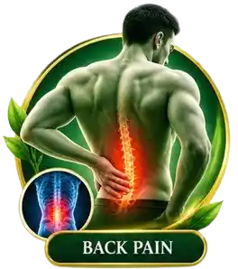 Back Pain