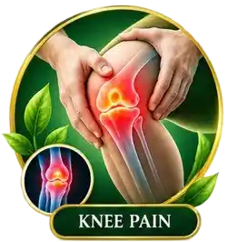 Knee Pain