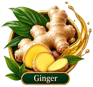Ginger