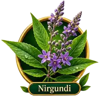 Nirgundi